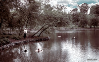 Pond at Halifax Public Gardens