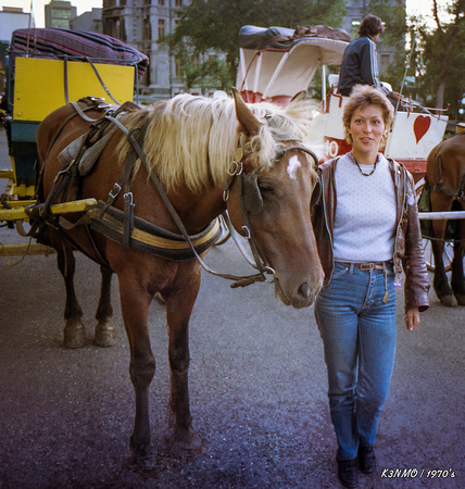 Horse Carriage Driver/Operator, Quebec City