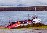 Country Harbour Ferry