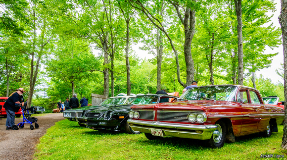 Cars in Centemmial Park