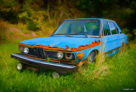 BMW Abandoned in the Weeds