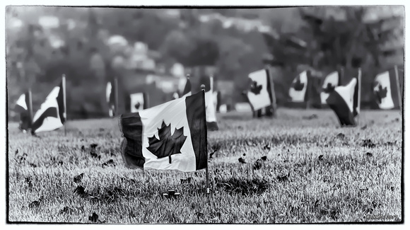 Flags for Canadian War Veterans