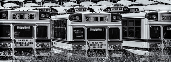 Idle School Buses