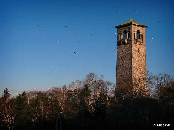 Dingle Memorial Tower