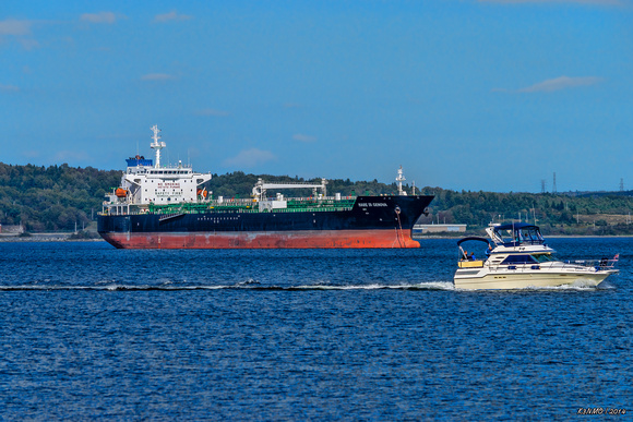 Mare Di  Genova, Bedford basin, Halifax NS, Sept 21, 2014
