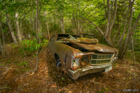 Abandoned Chevelle in Cape Breton