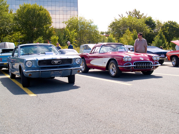 1966 Mustang & my 1960 Corvette