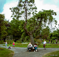 People Enjoying the Public Gardens