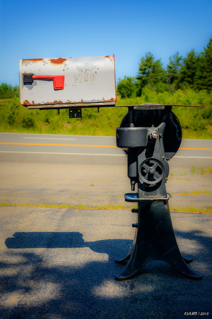 Roadside Mailbox in Maine