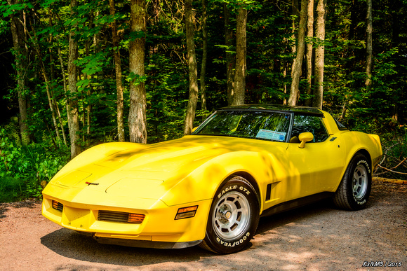 1981 Corvette C3 Coupe