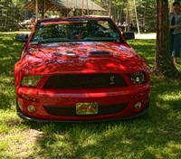 2009 Ford Mustang Cobra