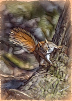 Curious Squirrel