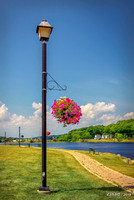 Street Lamp with Flower Pot
