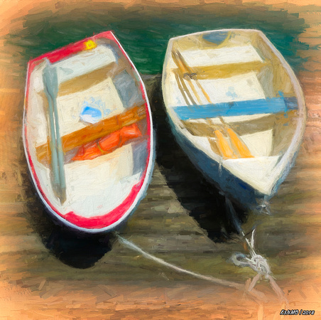 Boats Tied on the Landing