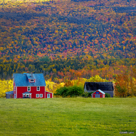 Farm House and Barn in Autumn Colors