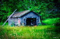 Old Shed in Rural Maine
