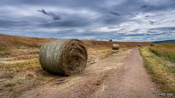Bale of Hay in Annapolis Valley