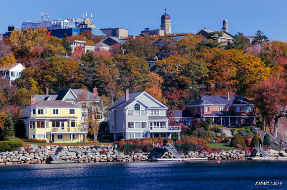 Autumn & Houses on Halifax's Northwest Arm