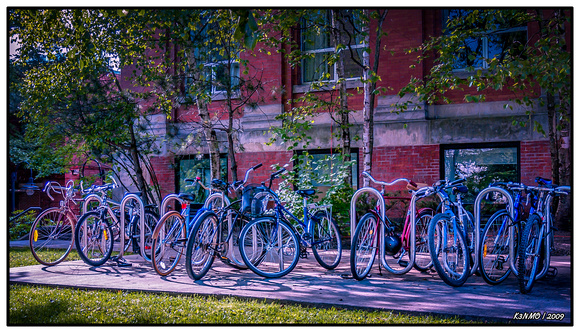 Bicycles Parked on Spring Garden Road