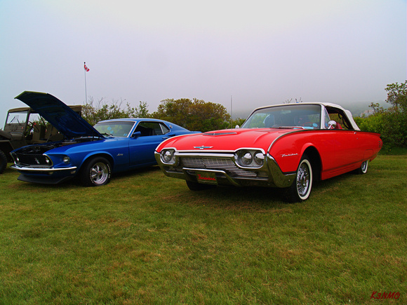 1967 Ford Mustang & 1961 Ford Thunderbird