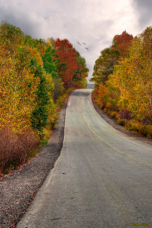 Autumn in Oakfield Provincial Park