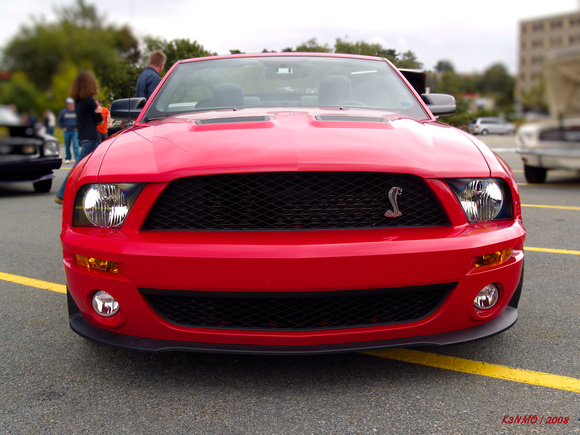 2008 Ford Shelby Mustang GT 500 convertible