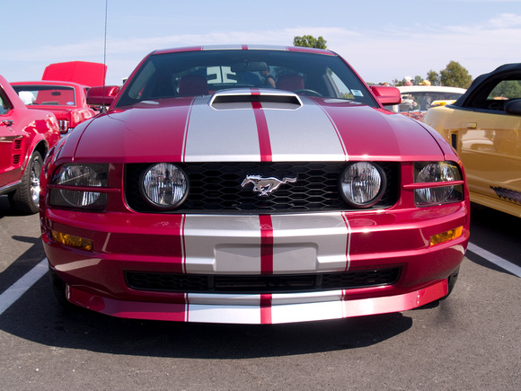2006 Ford Mustang Shelby GT350