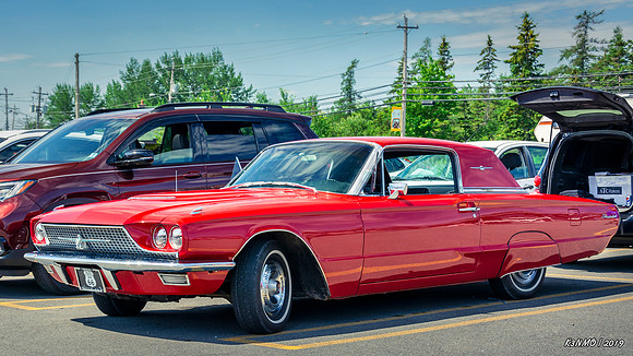 1966 Ford Thuderbird