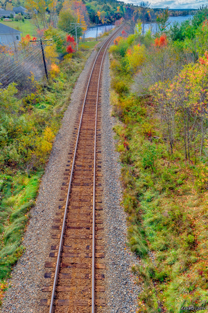 Railroad Tracks, Oakfield Provincial Park