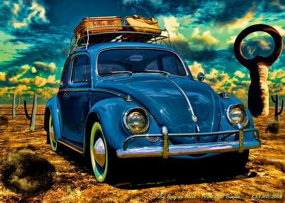 "By Bug or Bust" - 1958 VW Beetle
