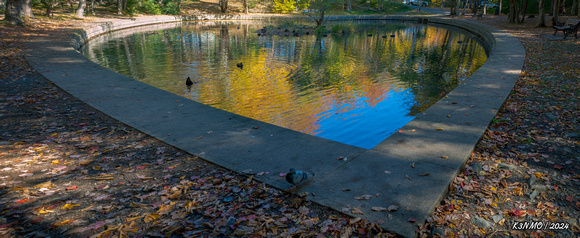 Heart Shaped Pond