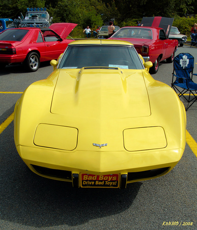 1975 Corvette Stingray