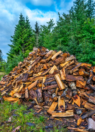 Rick's Wood Pile