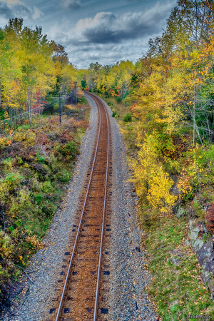 Autumn Leaves Along the Railroad Tracks