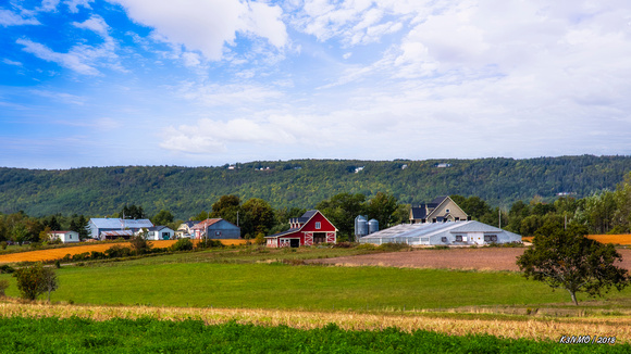 Farm in Kingsport