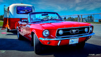 1967 Ford Mustang convertible & trailer