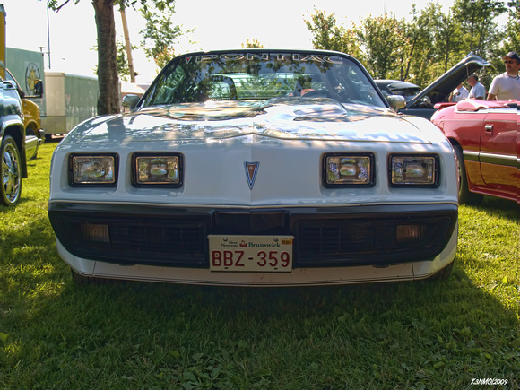 1981 Pontiac Trans Am Pace Car