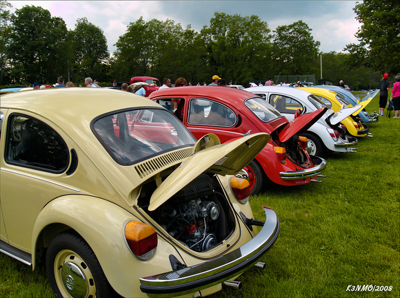 VW Beetles