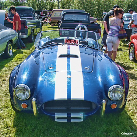 1965 Cobra Shelby kitcar
