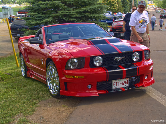 2006 Cobra ford mustang svt #5